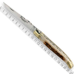 Laguiole knife antler handle