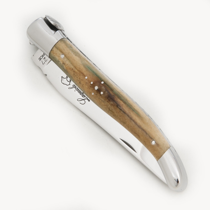 Shell Laguiole with giraffe bone handle