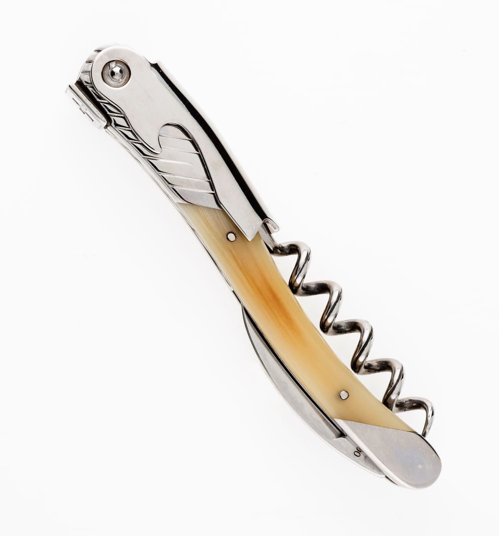 Couteau laguiole oiseau graffiti acrylique