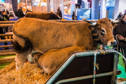 Un couteau Laguiole comme cadeau au Salon de l'Agriculture 2018