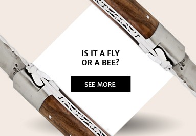 Fly or bee?